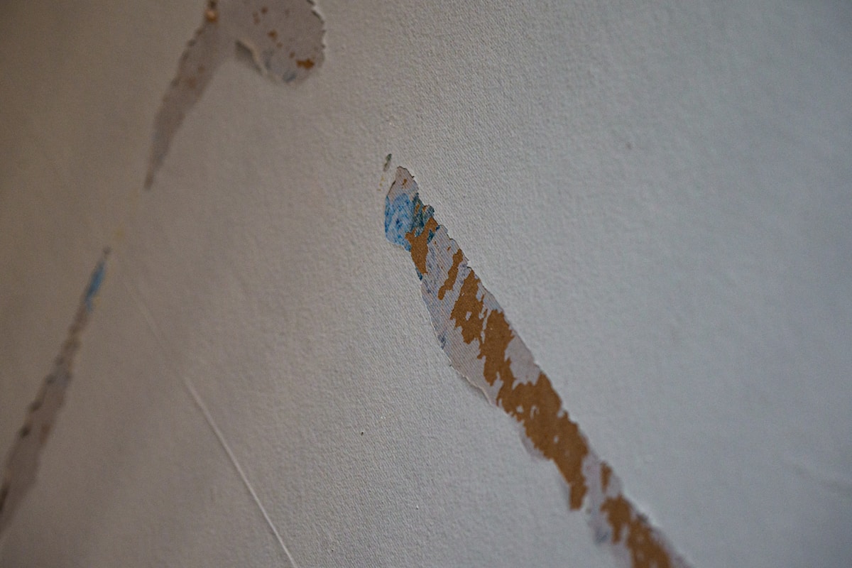 Flood Cleanup service in Hialeah, FL